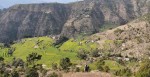 टेलिकमको नेटवर्क नहुँदा समस्या 