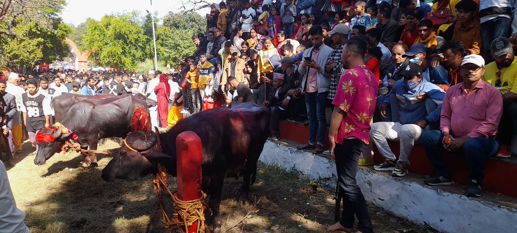 बैतडीको प्रसिद्ध त्रिपुरासुन्दरी भगवती मन्दिरमा पशु बलि सहित जात्रा सम्पन्न