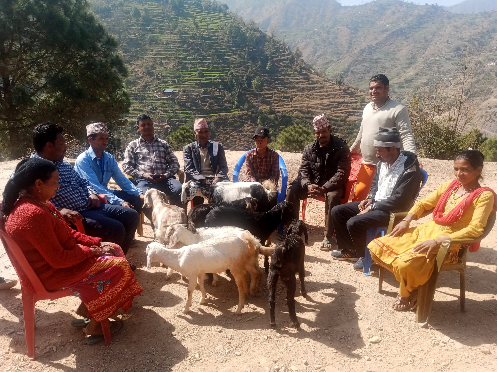 अपाङ्गता भएका   व्यक्तिलाई बाख्रा वितरण 