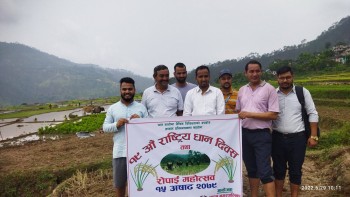 बैतडीमा पनि  मनाइयो १९ औँ  राष्ट्रिय धान दिवस  