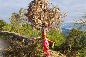सुदूरपश्चिममा ‘बुढी पोल्ने’ पर्व मनाइँदै 