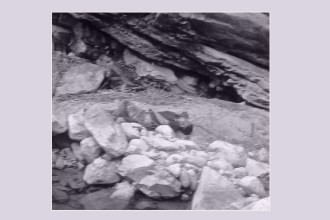 बैतडीमा भीरबाट लडेर एक युवकको मृत्यु 