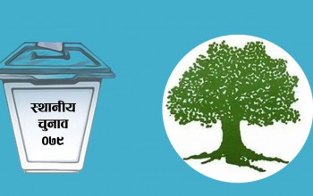 बैतडीको सुर्नयामा कांग्रेसको अग्रता कायमै 