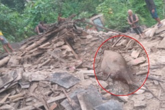 बैतडीमा पहिरोले एक घर पुरियो 