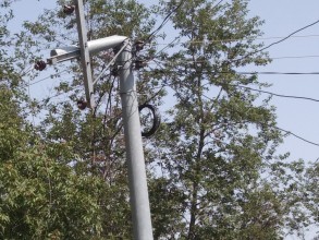 बैतडीमा समाजवादी अध्यक्षले रुख काट्दा बिजुलीको पोल भाँँचियोे, तीन दिनदेखि नागरिक अन्धकारमा