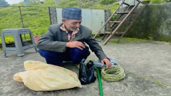 बैतडीमा साउनको महिना सिन्का दिने चलन