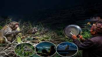 थाल बजाएर रातकाट्न बाध्य बैतडीका स्थानीय