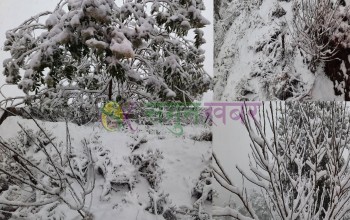 बैतडीमा भारी हिमपात