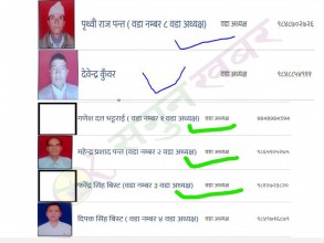 पाटन नगरपालिकाको वेबसाइटमा पुरानै जनप्रतिनिधिको विवरण 