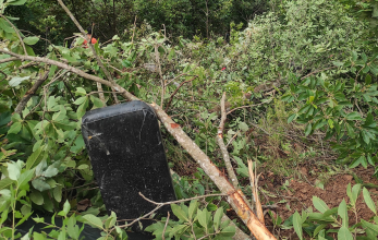 पाल्पामा बस दुर्घटना हुँदा ६ जनाकाे ज्यान गयाे