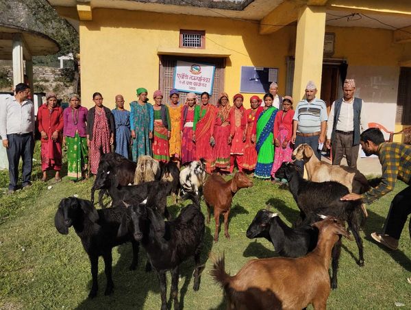 एकल महिलाहरुलाई  बाख्रा