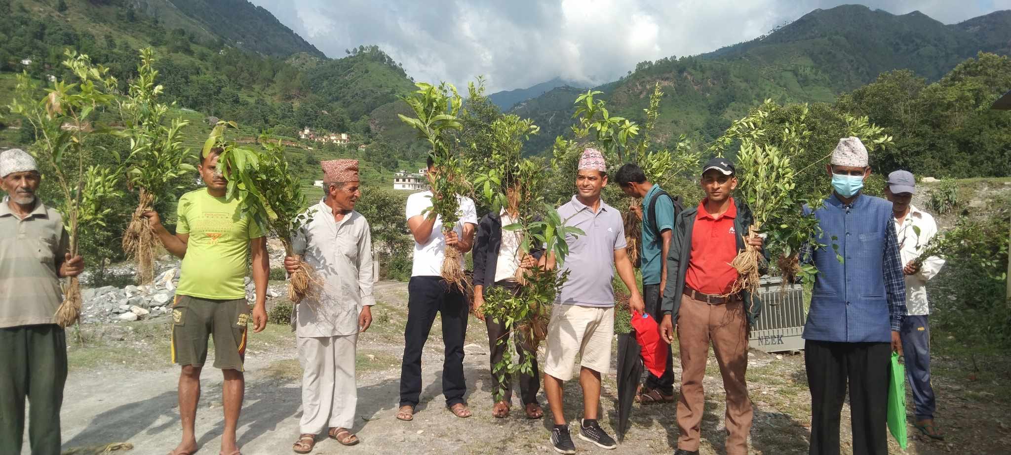बैतडीको  पुर्चौँडीमा १२ हजार बर्खेफलफूलका विरुवा वितरण