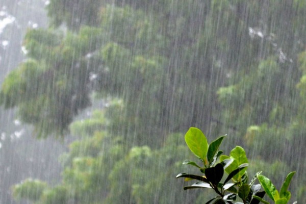 सुदूरपश्चिममा भारी वर्षको सम्भावना