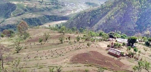 बसाई बैतडीमा कर डडेल्धुरामा, स्थानीयबासी समस्यामा 