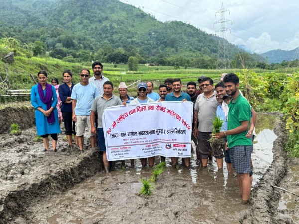 बैतडीको गोकुलेश्वरमा धान दिवस मनाइयो, बैतडीमा ६५ प्रतिशत रोपाइँ सम्पन्न