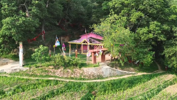 फाल्ङ्गा सैनी भगवती मन्दिरको बलिबारे भ्रममा नपर्न मन्दिर समितिको आग्रह, पुराना विधि अनुसार नै जात्रा हुने