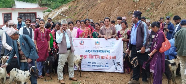 बैतडीको सुर्नयामा अपांगता भएका व्यक्तिहरुलाई बाख्रा वितरण 