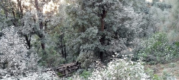 बैतडीमा कुखुरा बोक्ने जिप दुर्घटना 