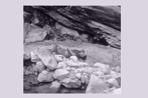 बैतडीमा भीरबाट लडेर एक युवकको मृत्यु 