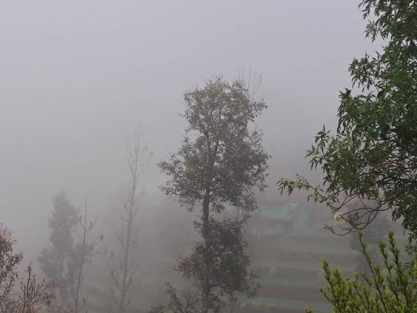 सुदूरपश्चिमसहित देशैभर भदौरे झरी