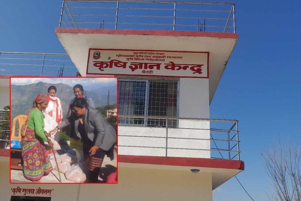 बैतडीमा किसानलाई उन्नत जातको गहुँको बीउ अनुदानमा वितरण गरिँदै 
