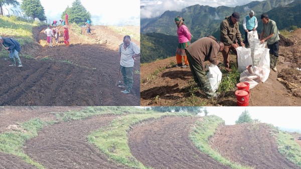 सतबाँझमा १ लाख फलफूलका बिरुवा उत्पादन हुँदै, काठमाडौँ र कर्णालीसम्म निर्यात