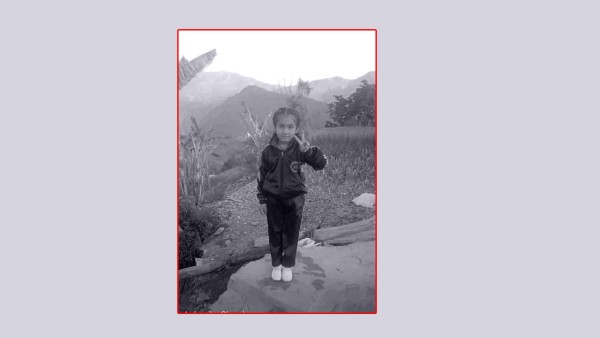 बैतडीमा सर्पको टोकाइबाट एक बालिकाको मृत्यु 