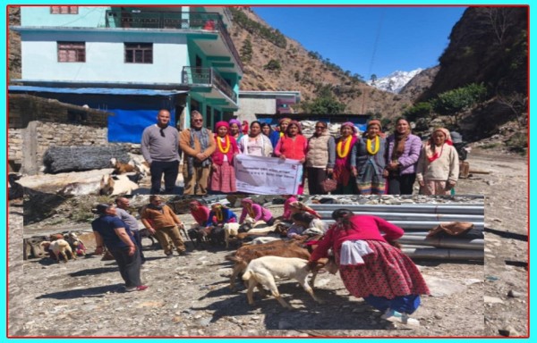 दार्चुलाको अपिहिमाल गाउँपालिकामा एकल महिलाहरुलाई बाख्रा बितरण
