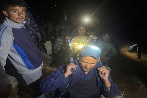 दार्चुलामा पासोमा फसेको चितुवाको उद्धार 