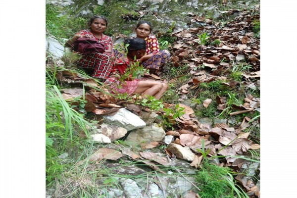 बैतडीमा   भिरबाट लडेर  एक महिला गम्भीर  