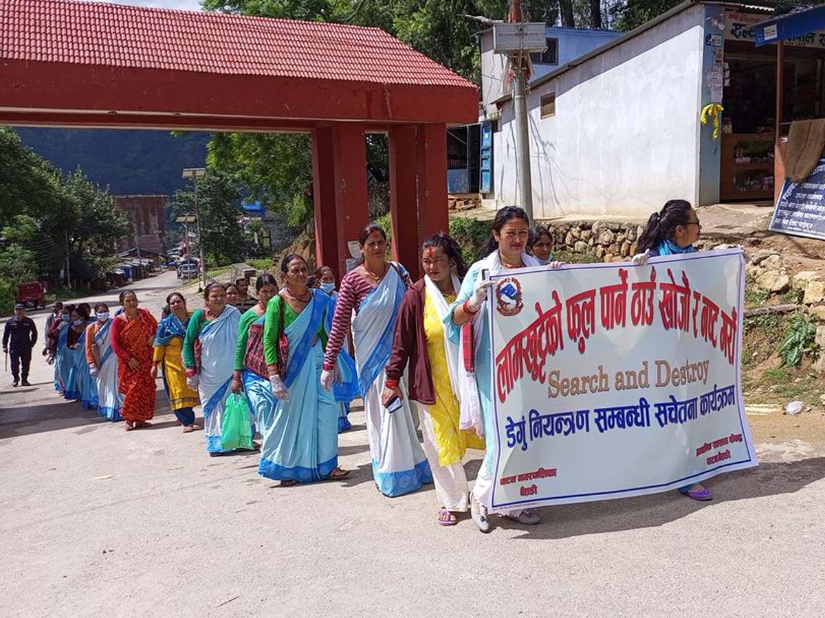 बैतडीको पाटनमा लामखुट्टेको लार्भा नष्ट गर्ने अभियान शुरु 