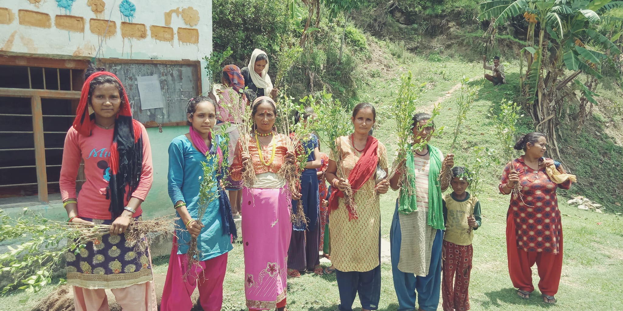 बैतडीको डिलाशैनीमा मतदाता संख्या बराबर कागतीका बिरुवा वितरण 