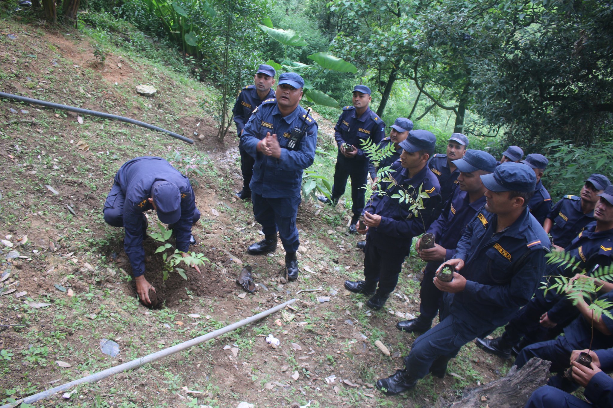 बैतडी प्रहरीद्वारा वृक्षारोपण 