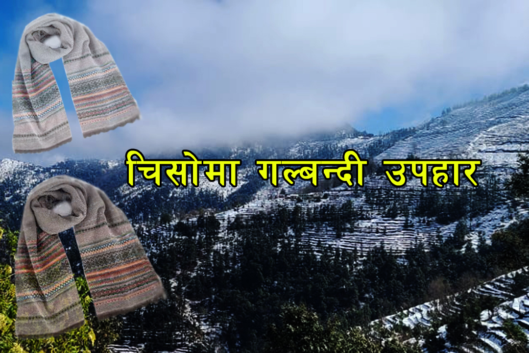 चिसोमा गल्बन्दी उपहार