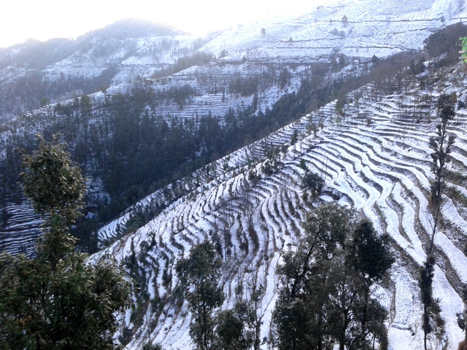 सुदूरपश्चिमका उच्च पहाडी र हिमाली क्षेत्रमा हिमपात 