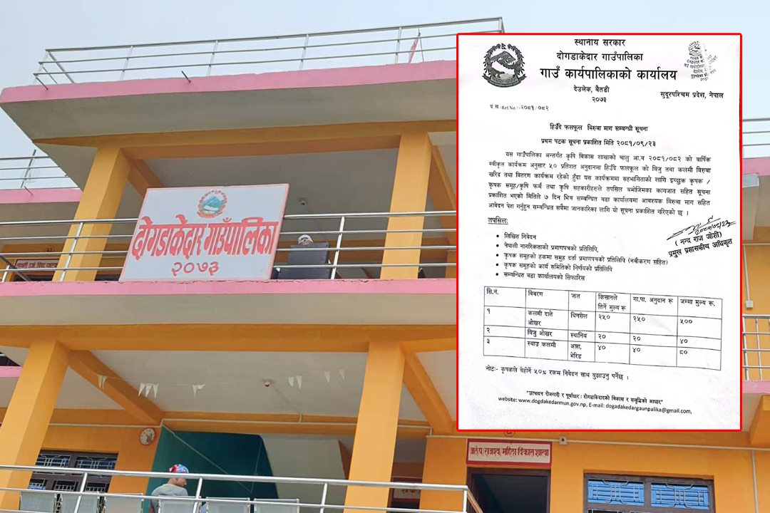 बैतडीको दोगडाकेदारले अनुदानमा हिउँदे फलफूलका बिरुवा उपलब्ध गराउने