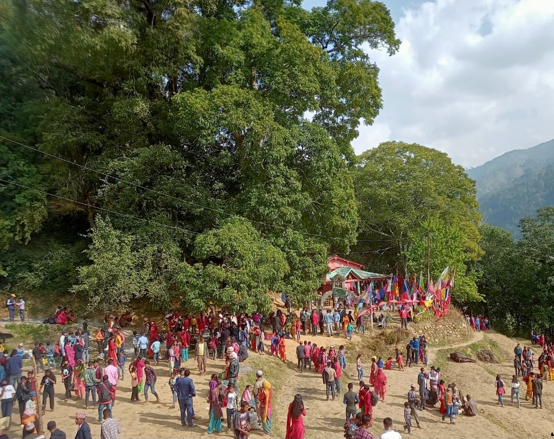 बैतडीको सुर्नया स्थित प्रसिद्ध फाल्ङासैनी भगवती मन्दिरमा बलि सहित जात्रा सम्पन्न