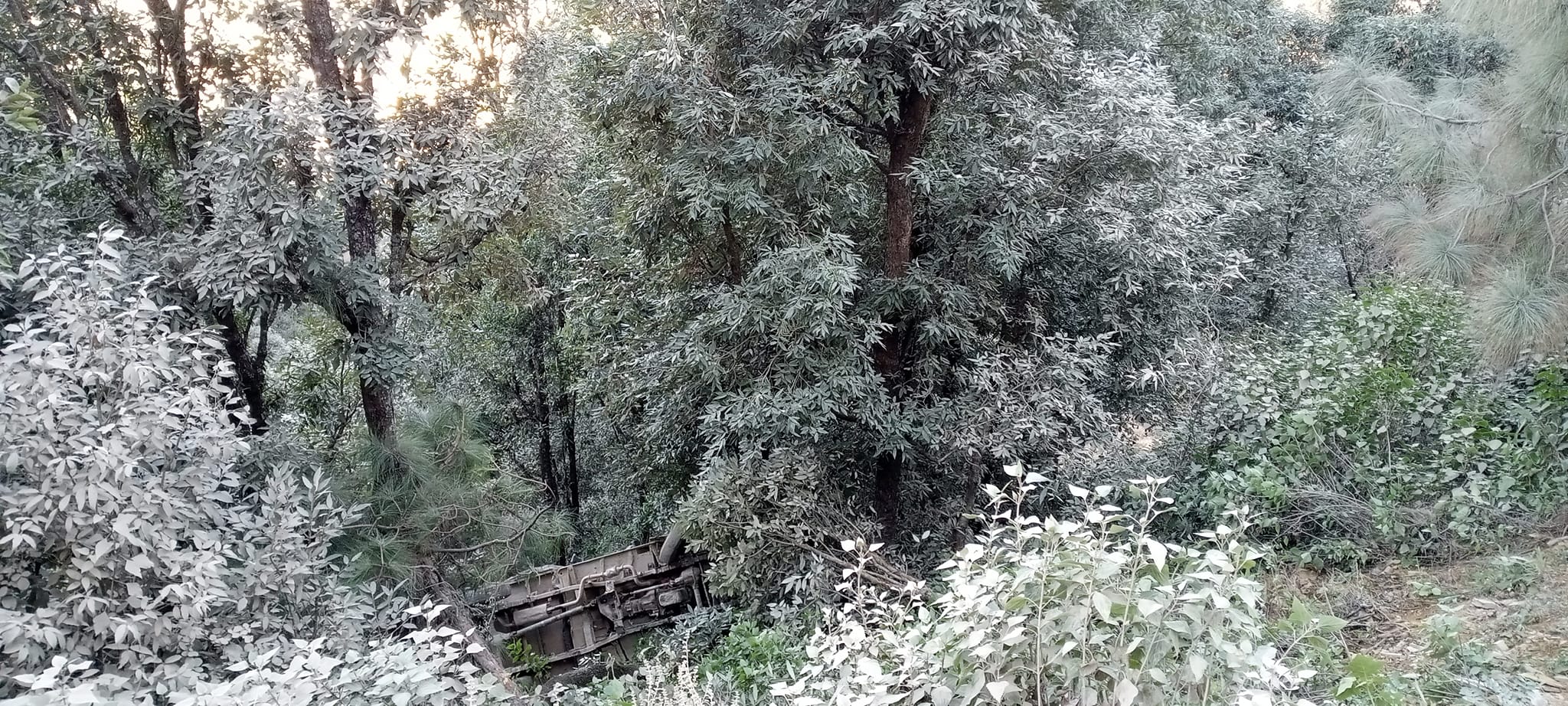 बैतडीमा कुखुरा बोक्ने जिप दुर्घटना 