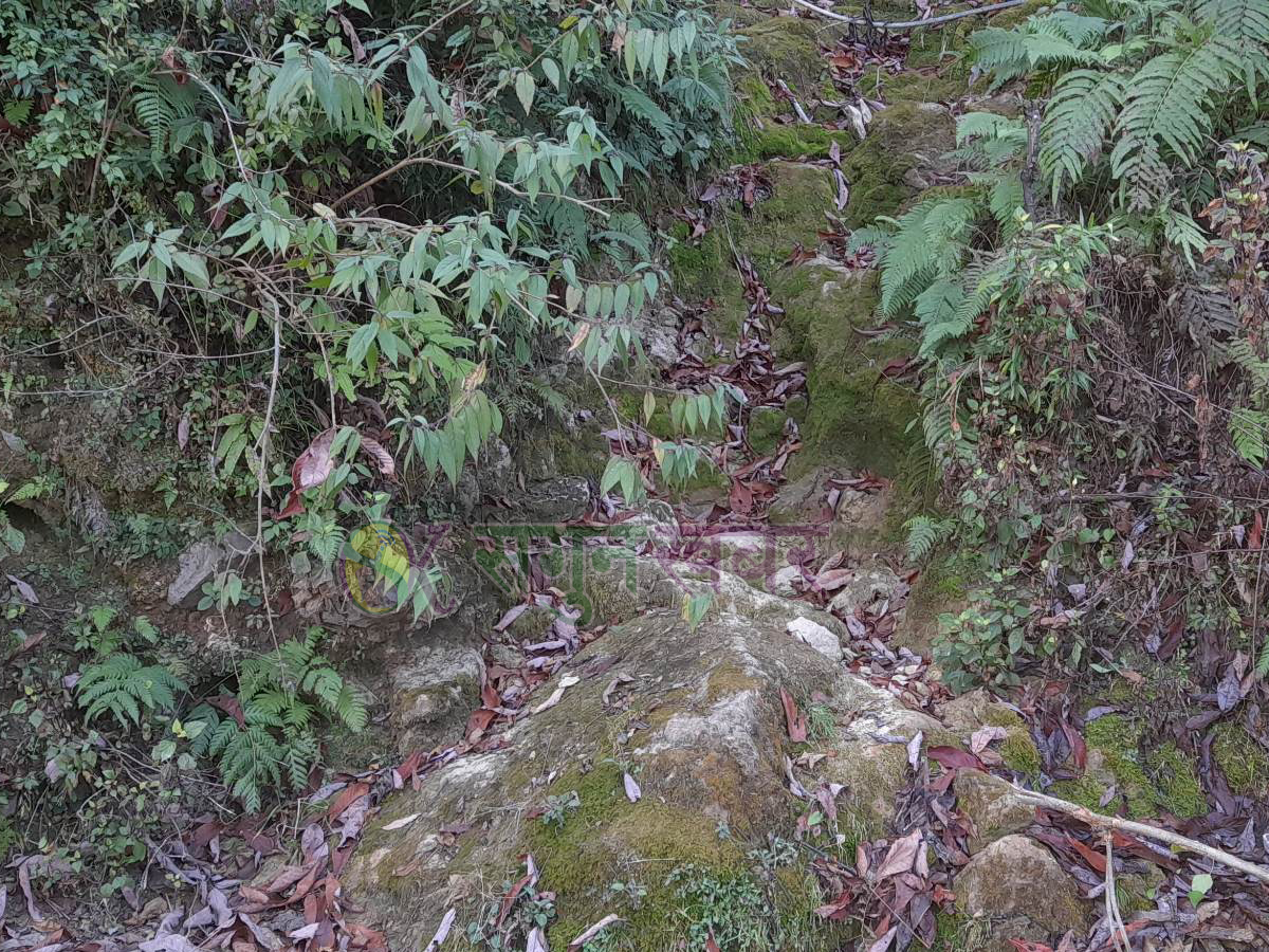 खडेरीको प्रभाव : ‘कलकल’पानी बग्ने खोला सुके