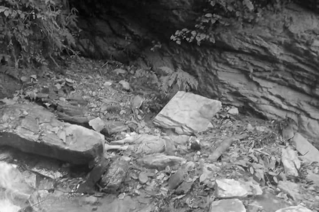 खर काट्ने बेला ज्यान गुमाउँदै ग्रामीण महिला 