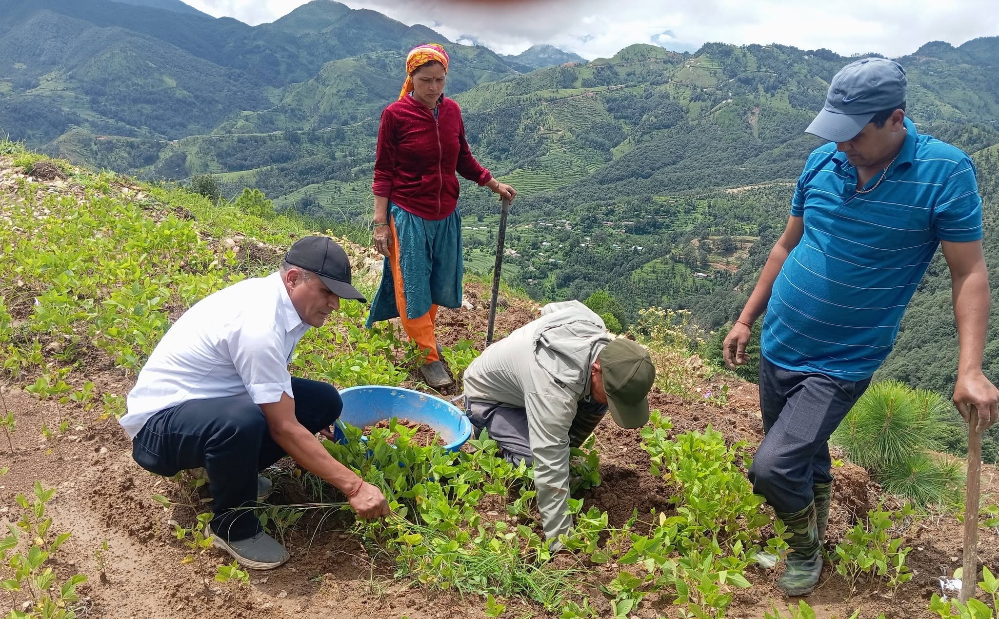 सुख्खा फलफूल विकास केन्द्रको नर्सरीको माटो परीक्षण गरिने 