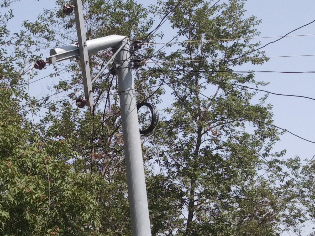 गुरूखोलामा स्थानीयको लापरबाही,जहिल्लै रूख काटेर विद्युत अवरुद्ध, कारबाही हुँदैन ?