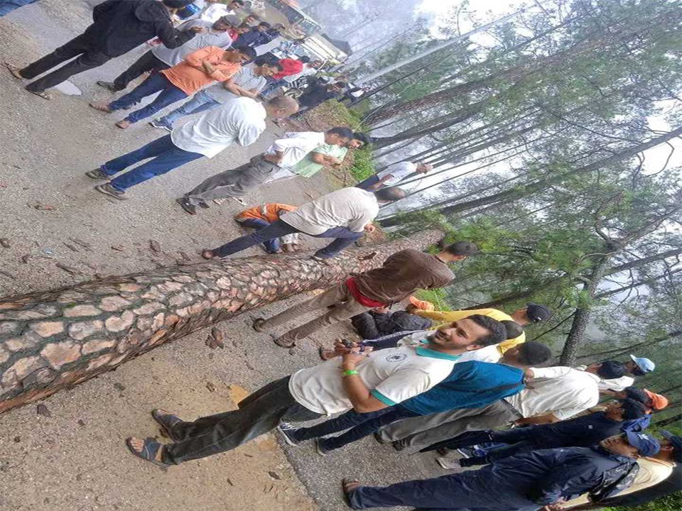 सडकमा रुख ढल्दा बैतडीको दशरथचन्द राजमार्ग  अवरुद्ध