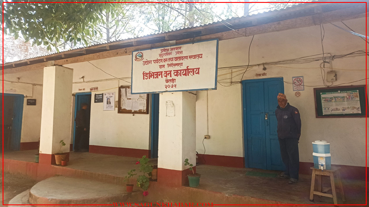 बैतडीमा डिभिजन वन कार्यालयको११ लाख २५ हजार लगानी मा, ७५ हजार बिरुवा वितरण