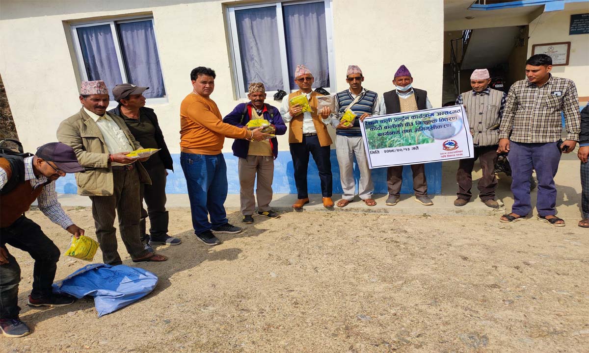 बैतडीको पाटनका किसानहरुलाइ कोदाको बिउ वितरण