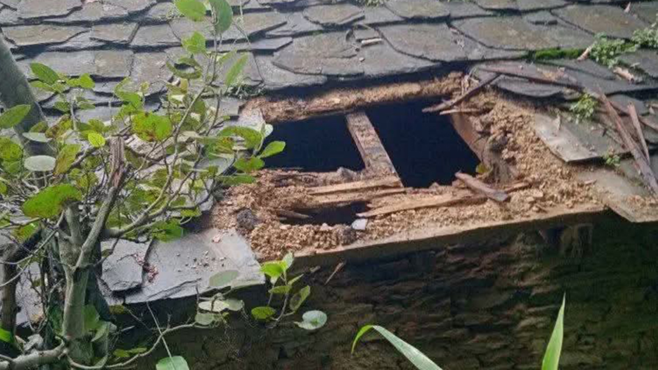 बैतडीमा चोरीको आरोपमा नगरकार्यपालिका सदस्यसहित चार जना पक्राउ