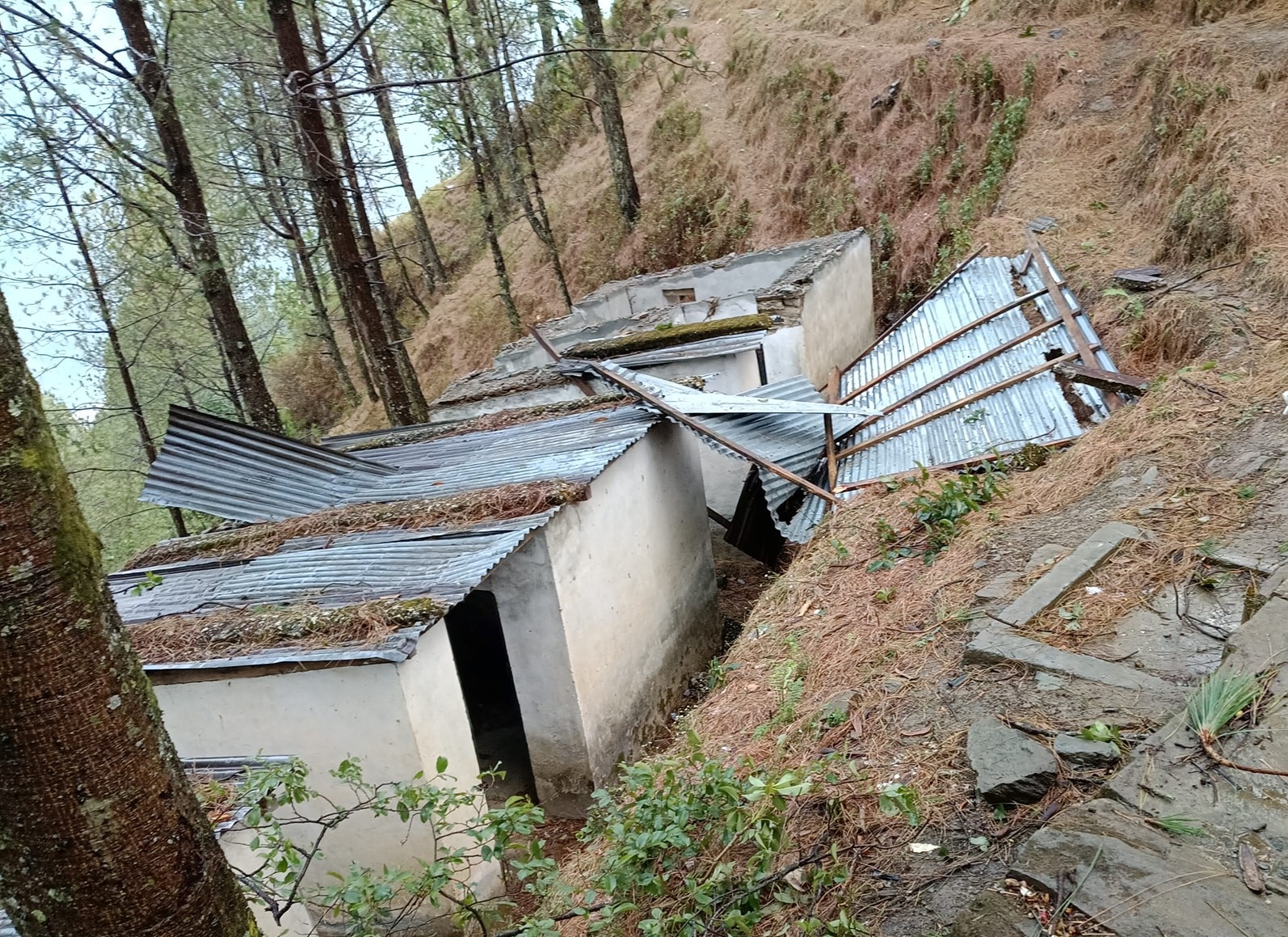 हावाहुरी र असिनासहितको बर्षाले बैतडीका विभिन्न स्थानमा क्षति, एकजना घाइते