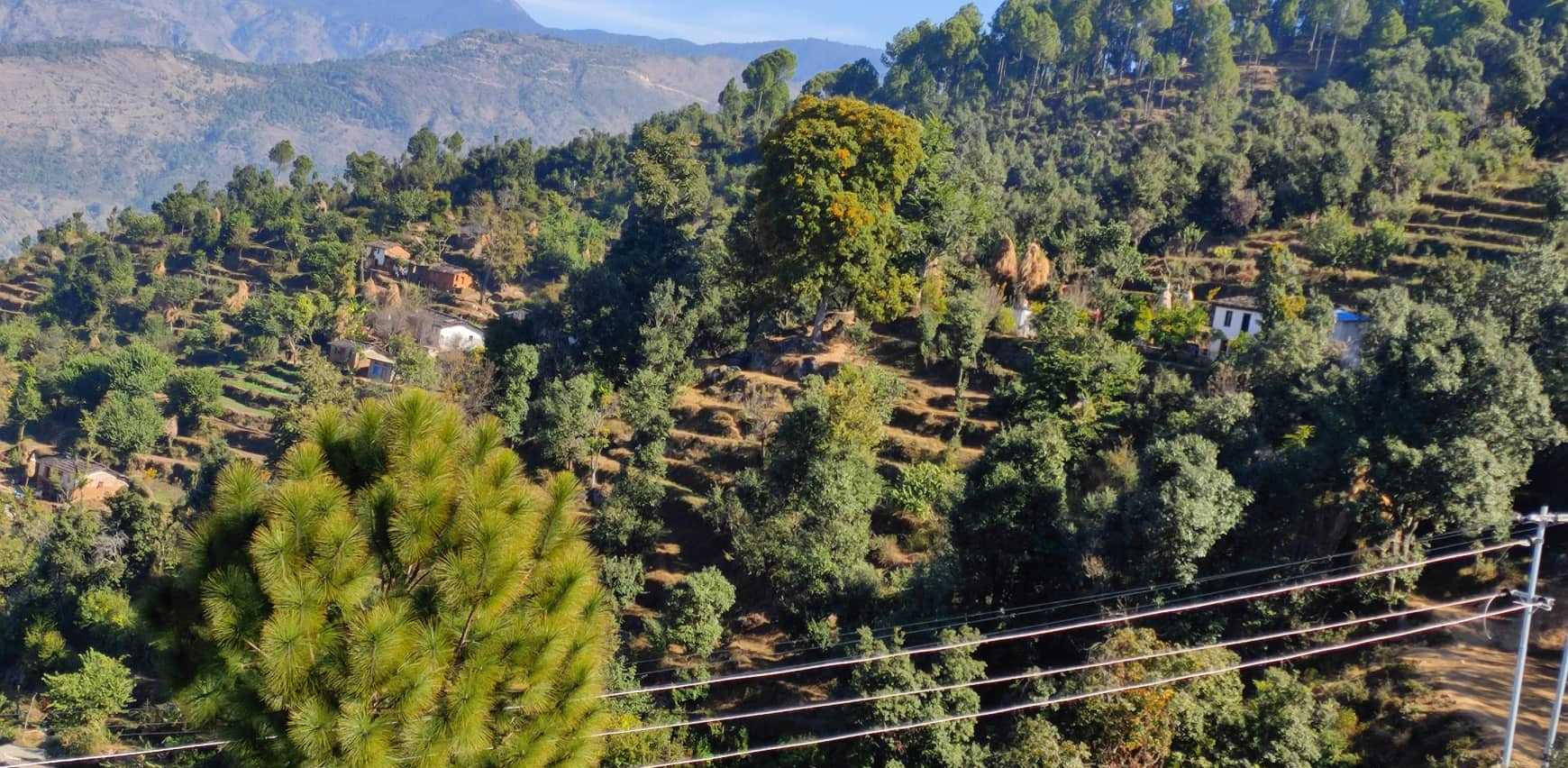 मायाको हत्यापछि गाउँमा त्रास 