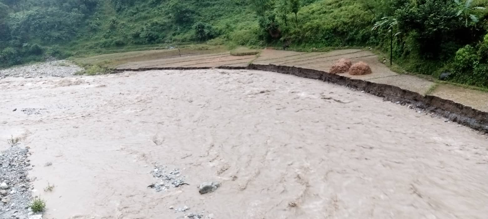 बैतडीमा धान सहितको खेती योग्य जमिन बाढीले बगायो, किसान चिन्तीत 
