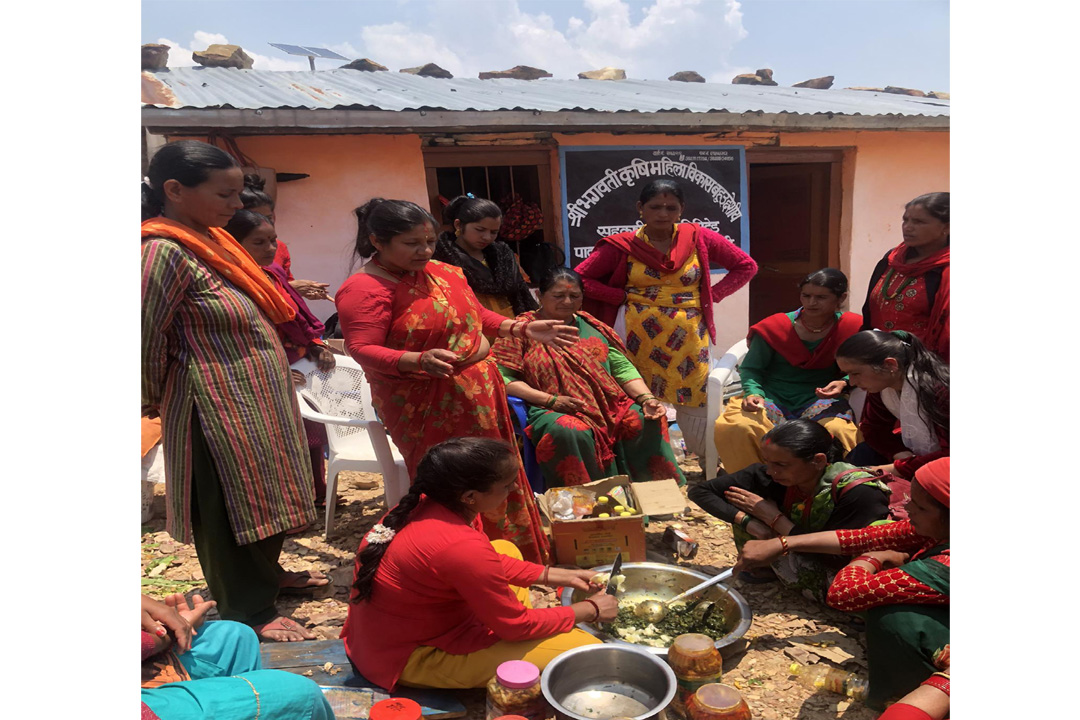 बैतडीमा ३० जना महिलालाई अचार गुन्द्रुक बनाउने तालिम